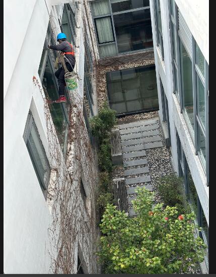 外墙清洗